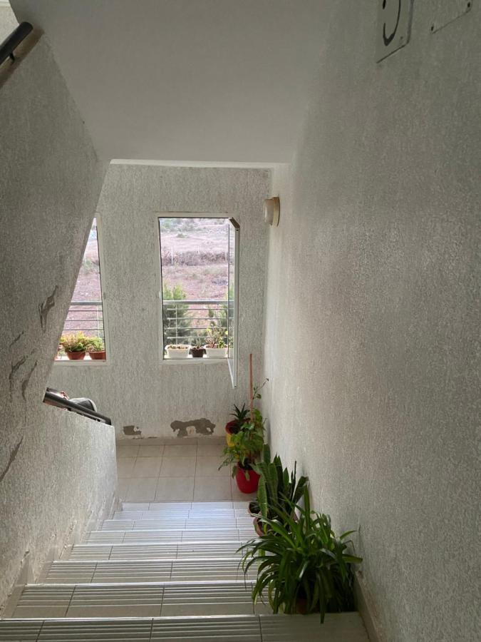 Lovely Appartement Salé Extérieur photo